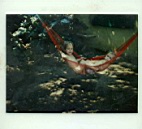 Tom 0408.jpg: 1981